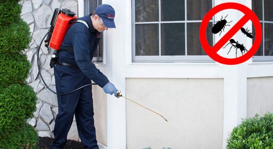 Suşehri Hamam Böceği İlaçlama böcek ilaçlama ve haşere kontrolü — ilaclama-tr.com